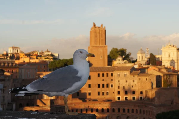 Eski Roma manzara