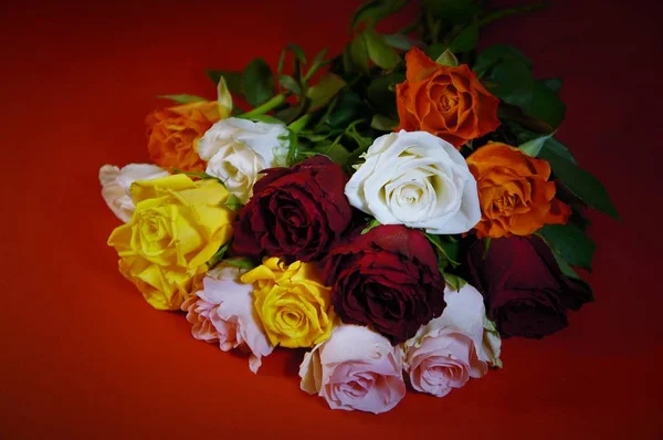 Boeket veelkleurige rozen — Stockfoto