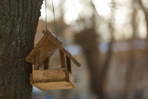 Кормушка для птиц на деревянном кормушке — стоковое фото
