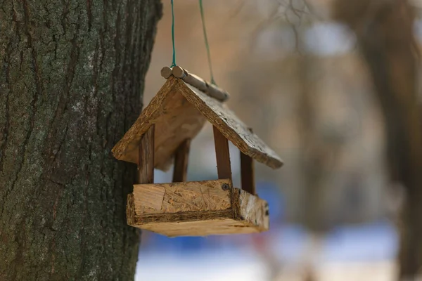Trog voor vogels voeden met een houten boom-feeder — Stockfoto