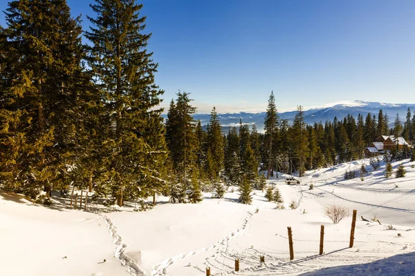 Peisaj munți de iarnă cu o pădure înzăpezită și colibă de lemn în dimineața însorită — Fotografie, imagine de stoc