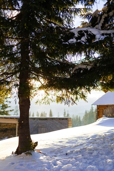 Hütte in den Bergen im Winter — Stockfoto