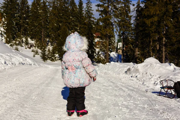 El tiempo de ocio invernal al al aire libre entre picos nevados puede convertir las vacaciones en un viaje fascinante. Visto desde detrás de la madre y el niño mirando en las montañas nevadas — Foto de Stock