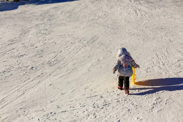 Niña con ropa de invierno empuja un trineo de madera a través de la cima de la colina cubierta de nieve. Visto desde una perspectiva baja . —  Fotos de Stock