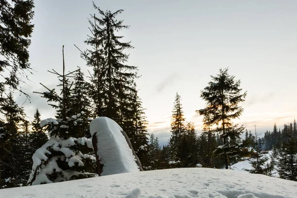 Tocón de árbol en el paisaje de invierno — Foto de Stock