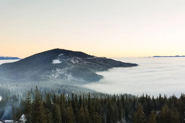 Fantástico paisaje naranja de noche que brilla por la luz del sol. Dramática escena invernal con árboles nevados. Cárpatos, Ucrania, Europa. Feliz Navidad. —  Fotos de Stock