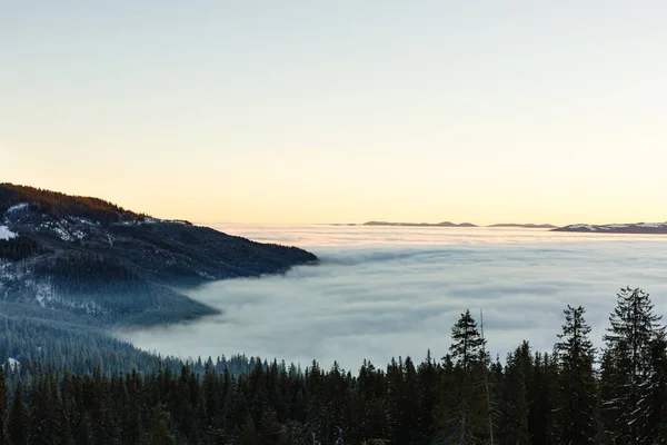 Fantastisk orange kväll landskap glödande av solljus. Dramatiska vintrig scen med snötäckta träd. Karpaterna, Ukraina, Europa. God Jul — Stockfoto