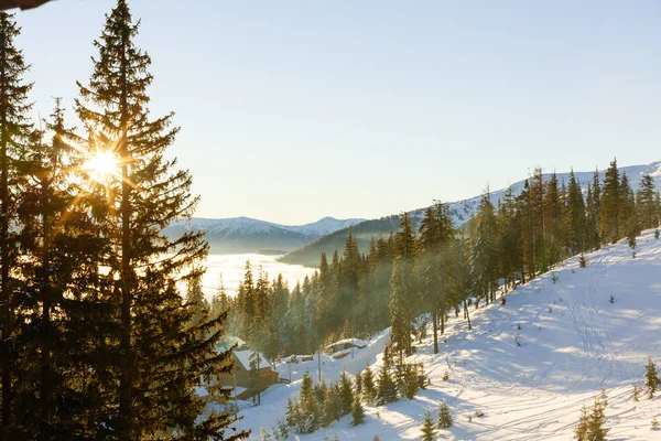 Güneş ışığı tarafından sabah parlayan görkemli kış manzarası. Dramatik kış sahne. Konumu Karpat, Ukrayna, Avrupa. Güzellik dünya. Retro ve vintage tarzı, yumuşak filtre. Etkisi tonlama Instagram. — Stok fotoğraf