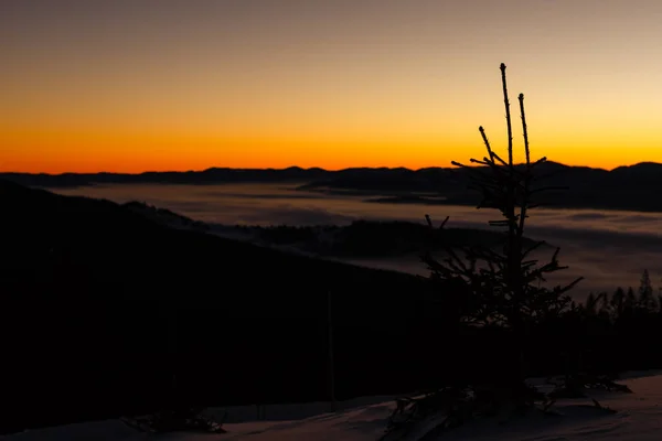 夕焼け山脈カルパティア山脈で Goverla をマウントします。 — ストック写真