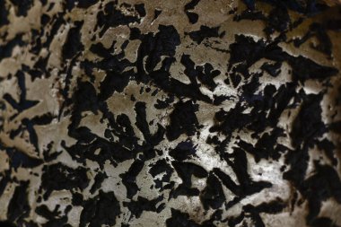 Gümüş buruşuk folyo arka plan