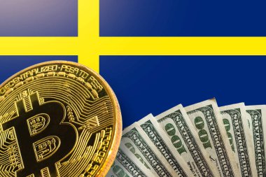 Altın bitcoin sanal para İsveç