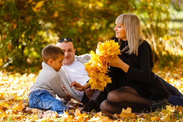 Anne, baba ve oğul akçaağaç yapraklarında oynuyorlar.