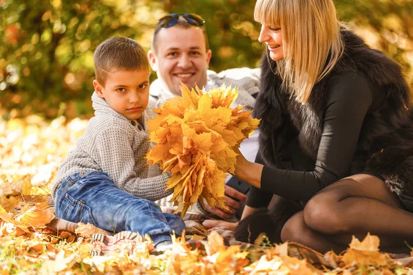 Anne Baba Oğul Akçaağaç Yapraklarında Oynuyorlar — Stok fotoğraf