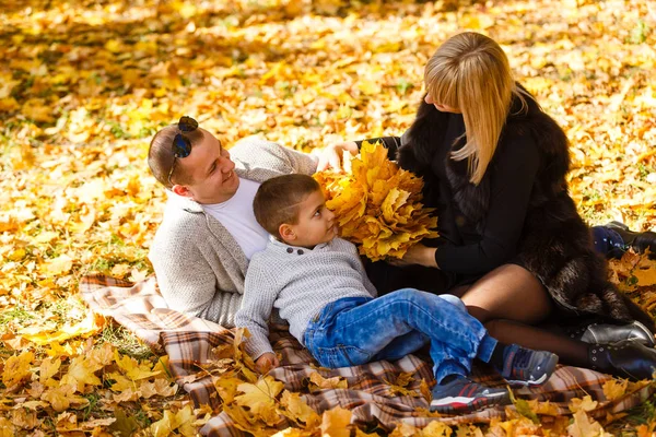 Mama Tata Syn Bawią Się Klonowe Liście — Zdjęcie stockowe