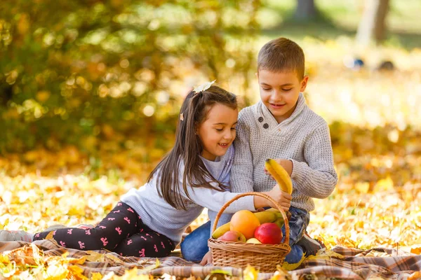 Щасливі Діти Осінньому Парку — стокове фото