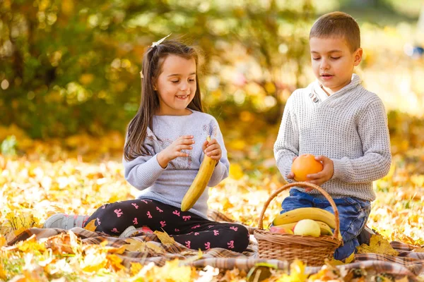 Щасливі Діти Осінньому Парку — стокове фото