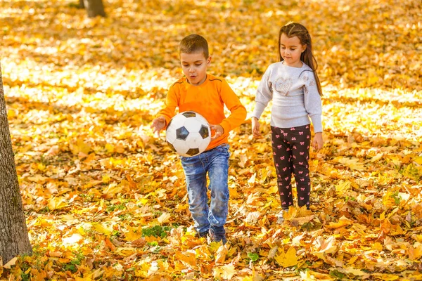 Мальчика Мячом Играющего Футбол Осеннем Парке — стоковое фото