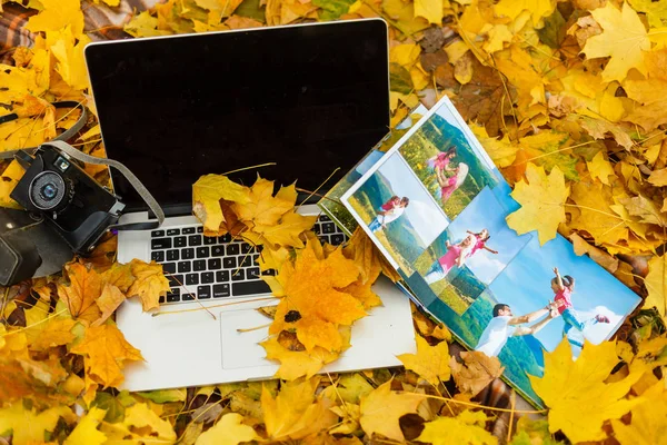 Photobook Elegante Laptop Com Câmera Folhas Outono — Fotografia de Stock