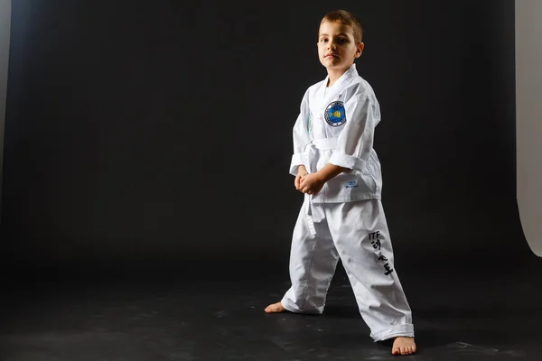 Chico Artes Marciales Uniforme Posando Sobre Fondo Oscuro —  Fotos de Stock