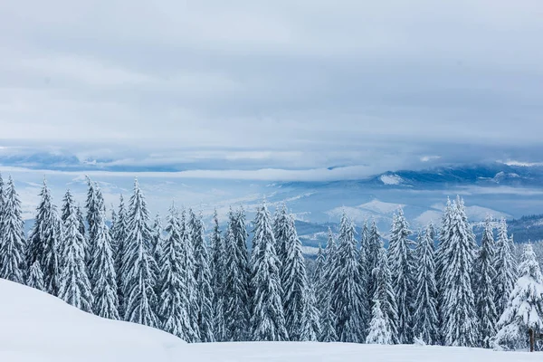 Invierno en las montañas, invierno paisaje de montaña — Foto de Stock