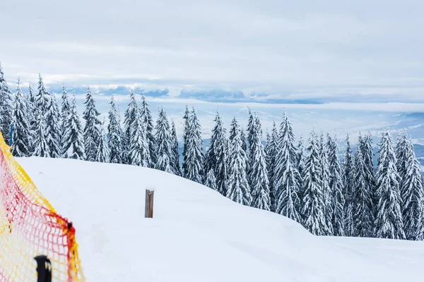 Hermoso Paisaje Montaña Con Bosque Invierno — Foto de Stock