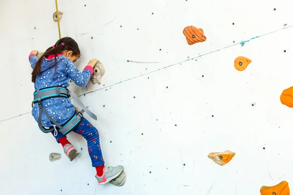 Niña Escaladora Parque Ocio Con Pared Escalada — Foto de Stock