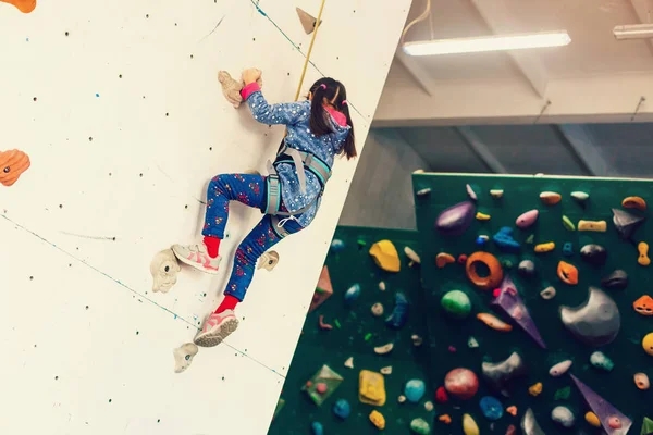 Niña Escaladora Parque Ocio Con Pared Escalada —  Fotos de Stock