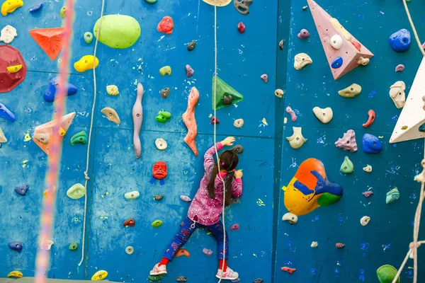 Niña Escaladora Parque Ocio Con Pared Escalada —  Fotos de Stock