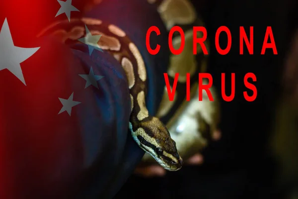 Close Snake Head Black Background Possible Source Coronavirus — Stock Photo, Image