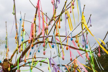 Üç dekoratif Paskalya yumurtası çiçek açan dalda asılı. Bahar çiçekleri, bayram tebrik kartı şablonu.
