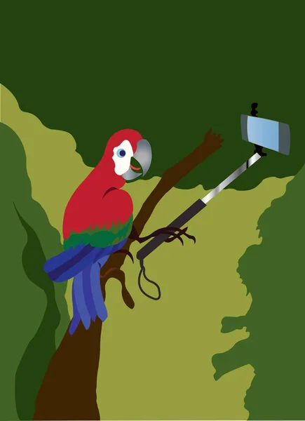 鳥の selfie — ストックベクタ