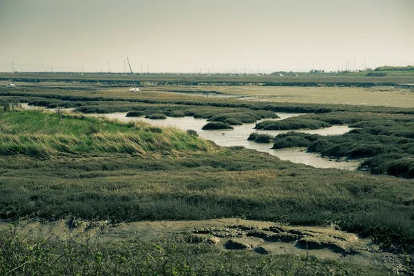 Ebbe — Stockfoto