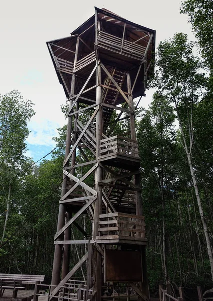 Chanthaburi kuş gözlem Tayland