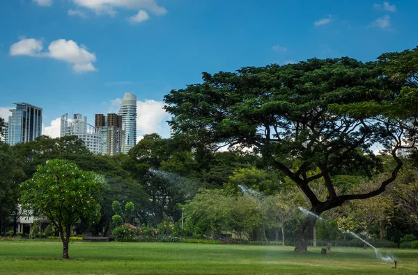 Otomatik yağmurlama sulama genel parkta