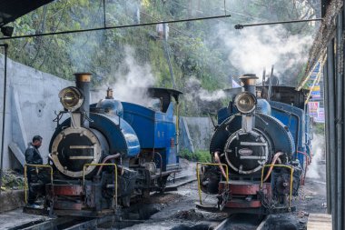 oyuncak tren, Hint demiryolları, tren, buhar makinesi, miras.