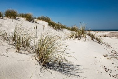 Beyaz dunes, Polonya, Baltık Denizi, doğa Park, Leba parlak kumlu plajları.