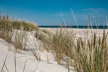 Beyaz dunes, Polonya, Baltık Denizi, doğa Park, Leba parlak kumlu plajları.