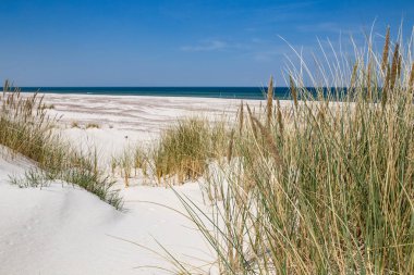 Beyaz dunes, Polonya, Baltık Denizi, doğa Park, Leba parlak kumlu plajları.