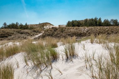 Beyaz dunes, Polonya, Baltık Denizi, doğa Park, Leba parlak kumlu plajları.
