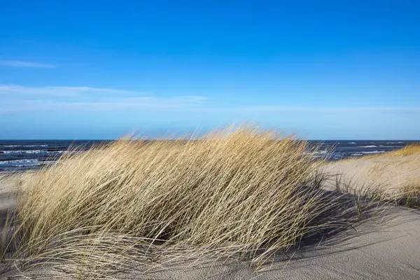 Vita sanddyner, ljusa sandstränder i Polen, Östersjön, naturpark, Łeba. — Stockfoto