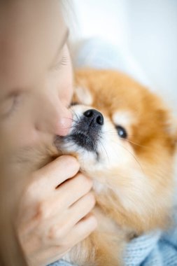 Bir kadın ve köpeğin yakın plan portresi Pomeranian Spitz üretir. Sarışın bir kadın bir köpeği kollarına aldı ve ona sarıldı..