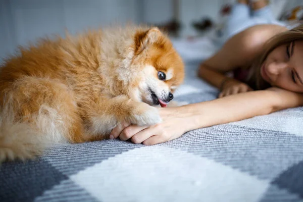 Pomeranya cinsinden köpeğiyle yatak odasında yatan bir kadın. Köpek, hanımefendinin elini yalıyor.