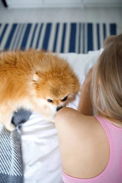 İnce, sarışın bir kadın köpeğiyle birlikte yatakta yatıyor. Yukarıdan görüntüle