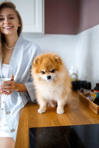 Mutlu sarışın kadın mutfakta çay içiyor, yanında da Pomeranya cinsi köpeği var. İnsanların ve hayvanların dostluğu..
