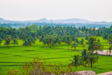 Pirinç tarlaları ile Hampi görmek 
