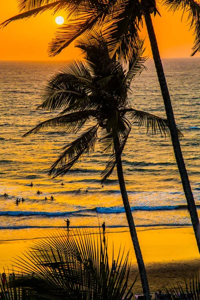 Nascer do sol na palma da praia — Fotografia de Stock