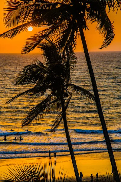 Nascer do sol na palma da praia — Fotografia de Stock