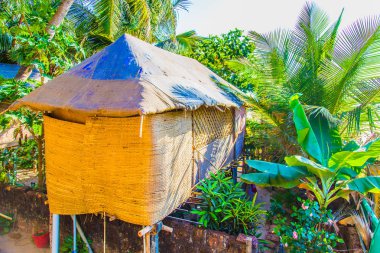 Pasifik Okyanusu önünde Hint palafitte