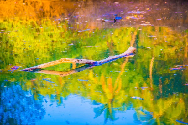 Pieza de madera en el río —  Fotos de Stock