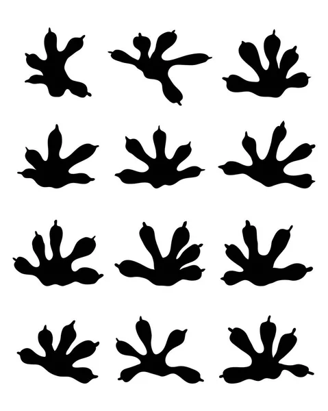 Traces de lézards — Image vectorielle